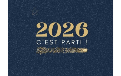 MEILLEURS VOEUX POUR CETTE NOUVELLE ANNEE